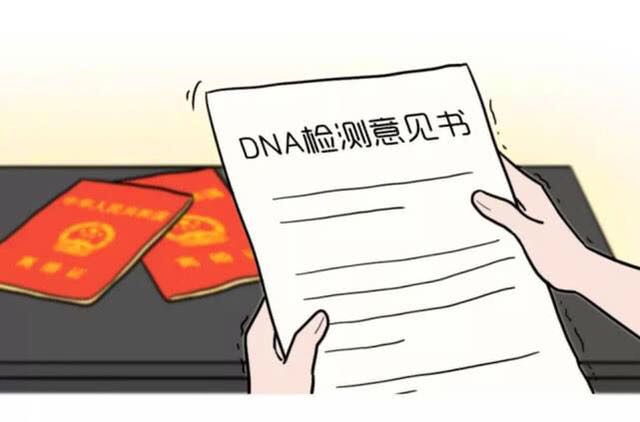 “侬晓得伐？”——上海亲子鉴定背后的法律“门道”全解析