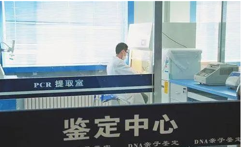 从一根头发开始：在上海，完成一次亲子鉴定有多简单？