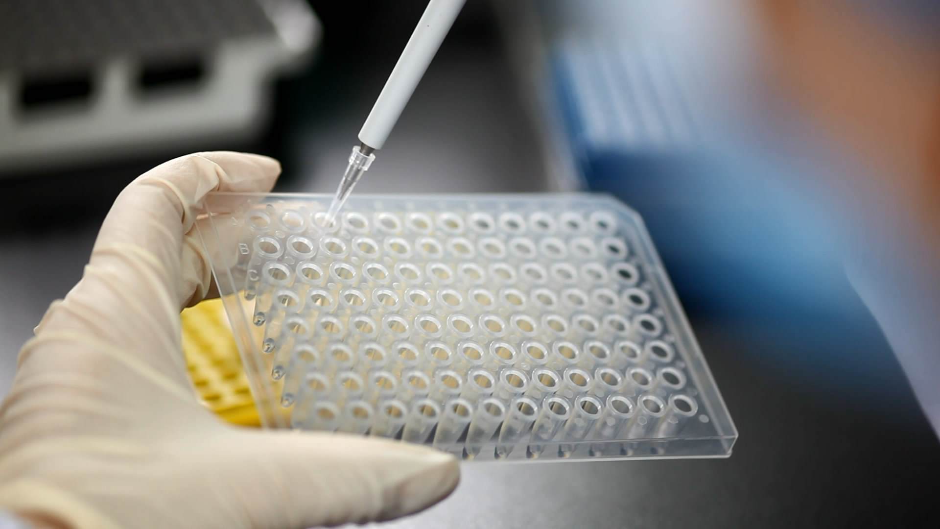 特殊样本也能测？详解上海亲子鉴定中牙刷、指甲等样本的可靠性