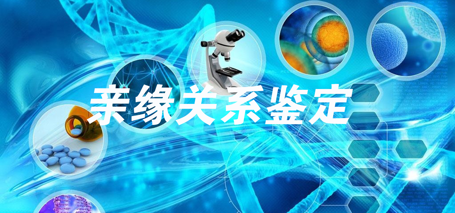 上海兄弟、叔侄也能做亲子鉴定？隔代亲缘关系如何厘清？