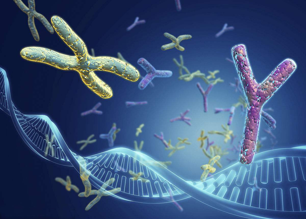 上海兄弟、叔侄也能做亲子鉴定？隔代亲缘关系如何厘清？