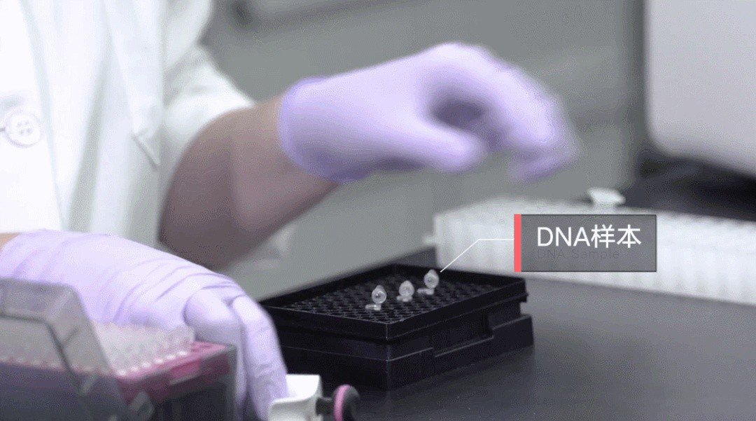 拿到亲子鉴定报告后：结果有异议该怎么办？上海用户须知